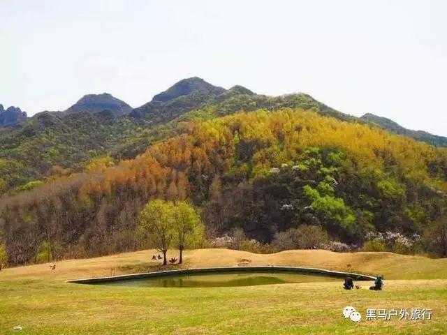 西苑医院济宁医院：学习贯彻济宁市两会精神，为群众谋福祉