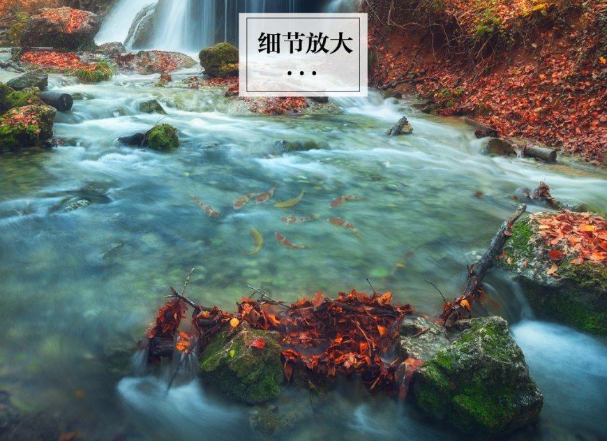 美味食物找星星